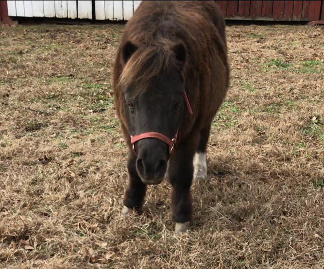 03851E62-92D5-4A82-9ACF-BE4786B2092C