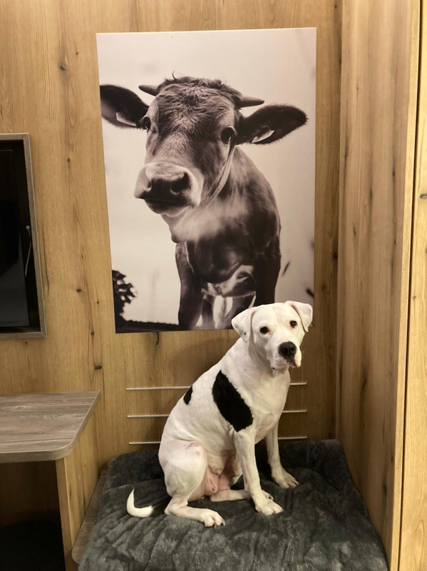 8FFF66D6-412B-47A4-AB84-849DD2D724E5