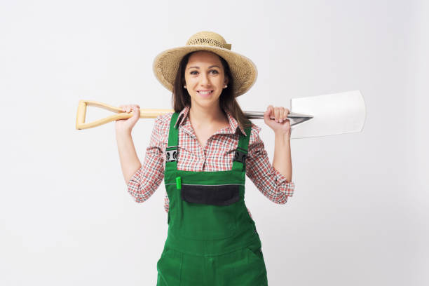 Commercial