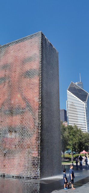 Caminando por Chicago: Esculturas, the Bean, lugares de películas y Torre Willis - Boston y Chicago (37)