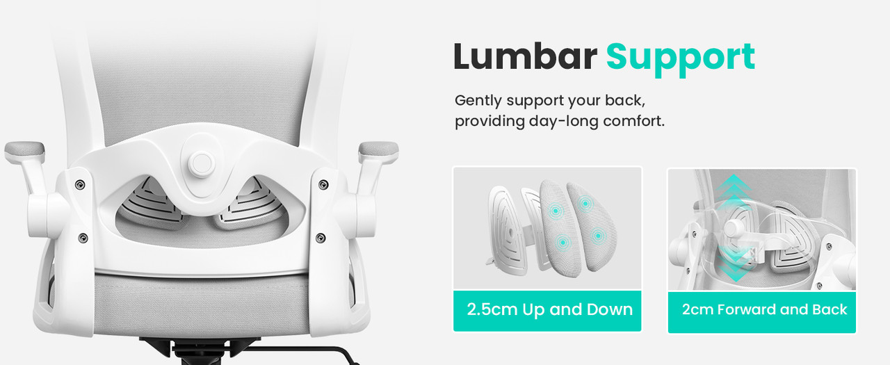 bai2
