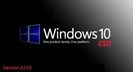 Windows 10 21H2 Build 19044.1466 10in1 OEM ESD en-US January 2022 (x64)