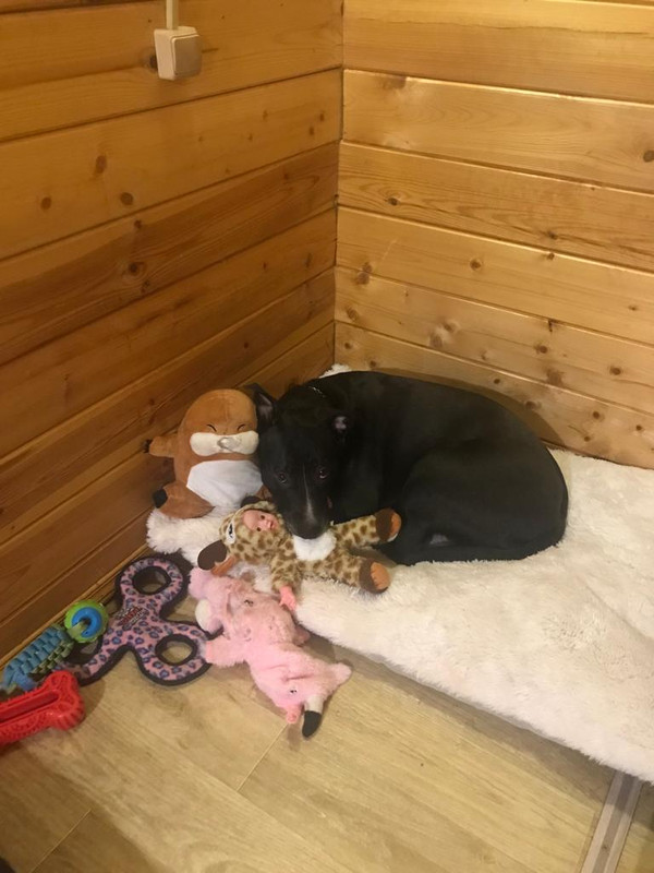 F90F4F2B-BFFF-4F1A-99F3-A7CFE89208E5