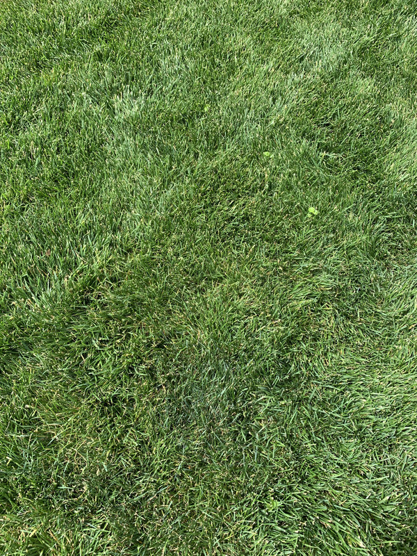 72D1E3FD-C484-45C5-89F0-360B0CDA071E