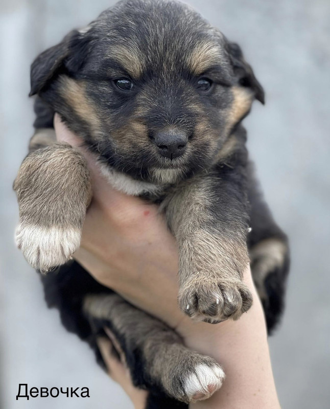 0BE7D1AE-E35E-4231-8DDE-A164C90545F3