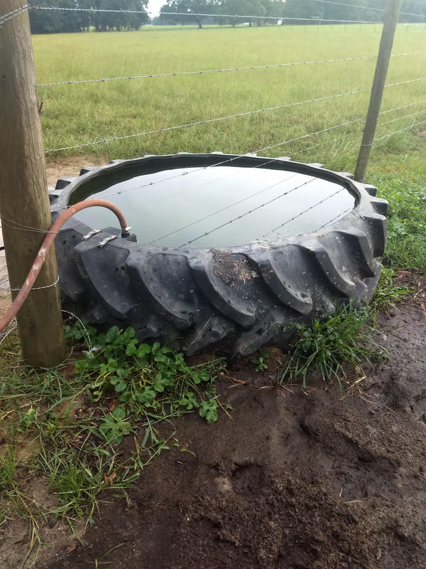 IMG_20180716_181200112