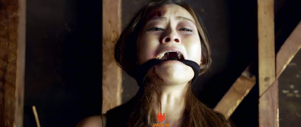 Diana Lu - Blood is Blood 2016