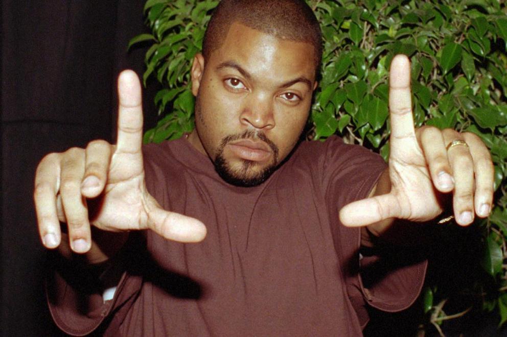 icecube-grid-2.jpg