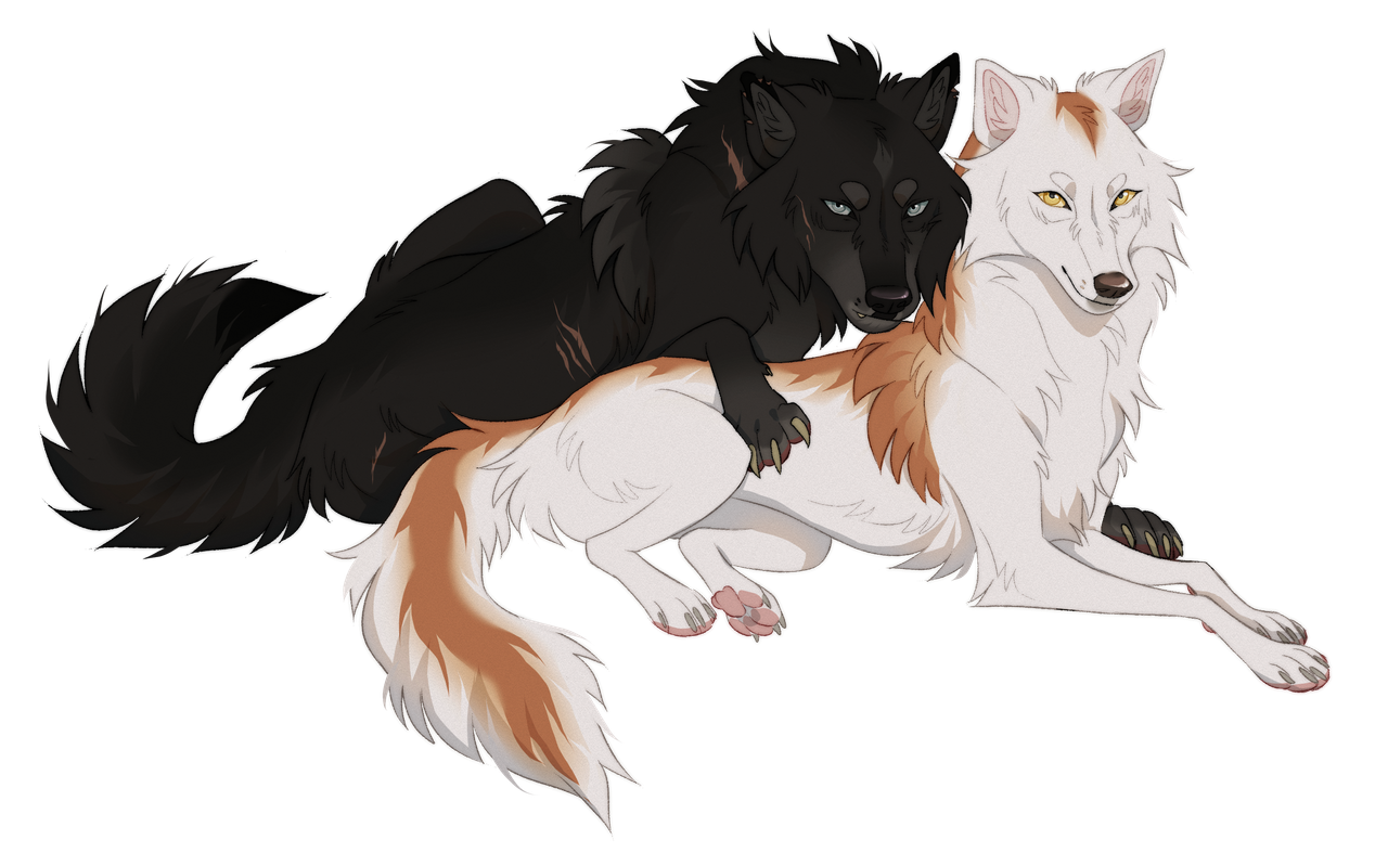 [Image: andras-and-hedaaaaaaaaaaaaa.png]