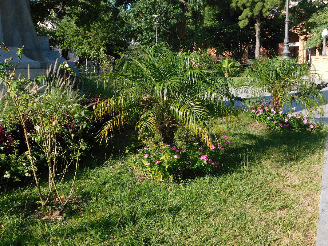 DSCN0360.jpg