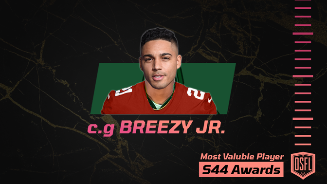 015_DSFL_most_valuble_player_WIN