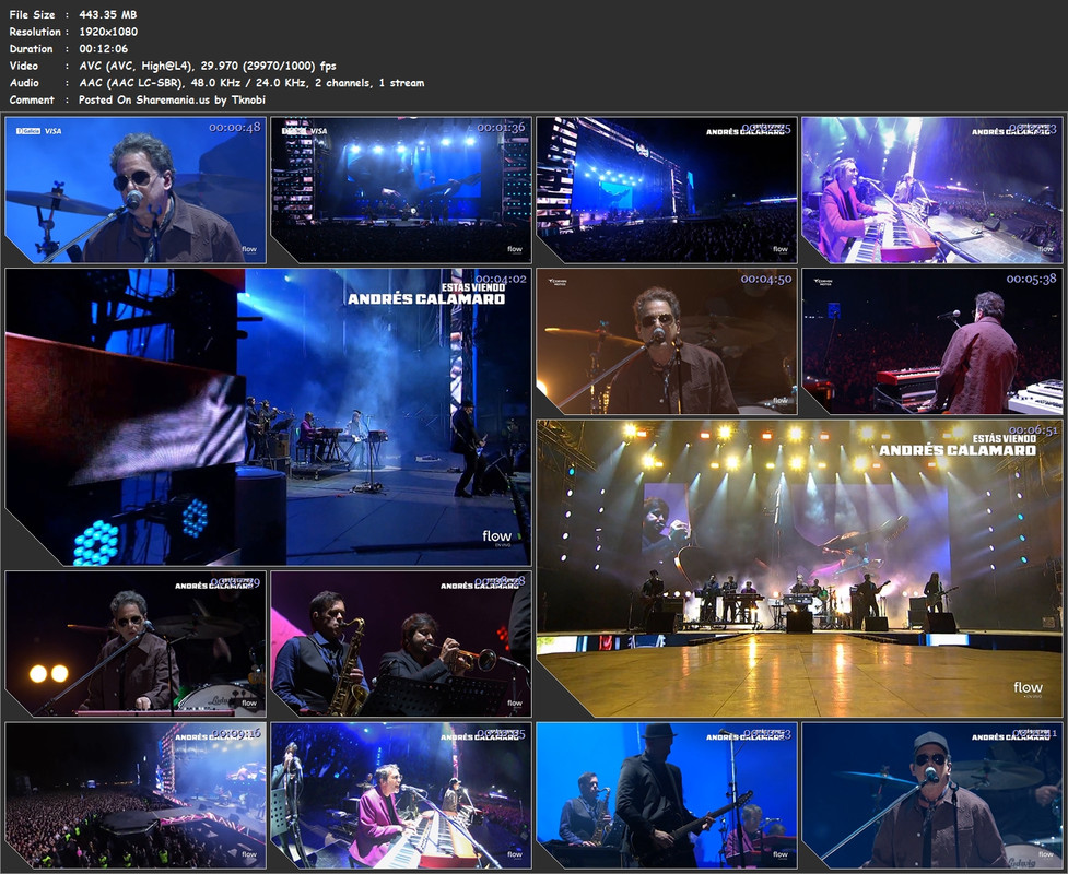Andres Calamaro Quilmes Rock Argentina 2025.Flow.WEB-DL.1080p-Tknobi.mkv