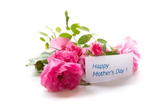 An den Beitrag angehängtes Bild: https://i.postimg.cc/yY8gMWp9/thank-you-card-among-pink-flowers-photo.jpg