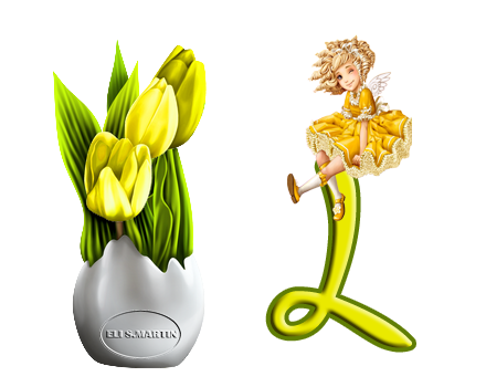 Tulipanes amarillos L