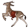 carcass-dorcasgazelle.png