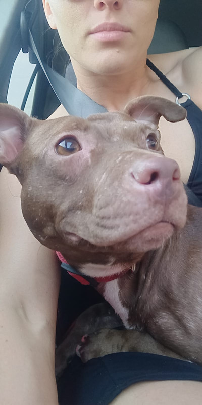 B655F620-5505-4362-BEC9-AF3B4C7DED8A