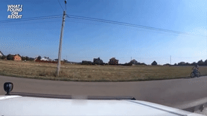 WHEN-YOURE-STUPID-OR-A-GENIUS-66.gif