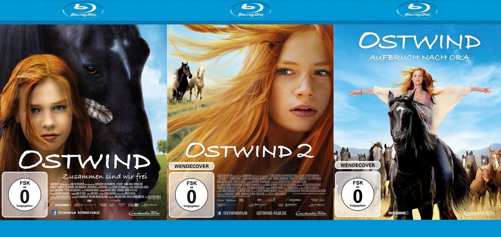 Vichr / Ostwind (2013)