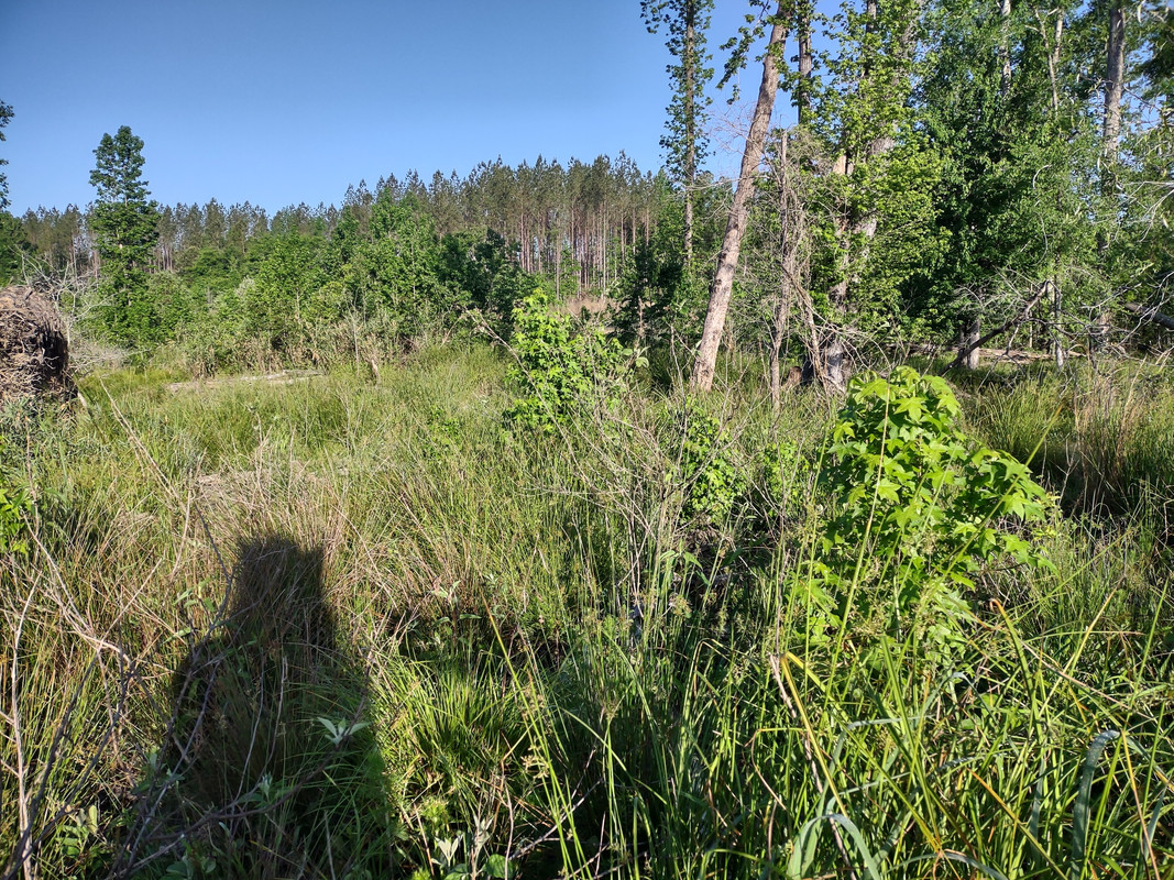 IMG_20220507_072331617_HDR