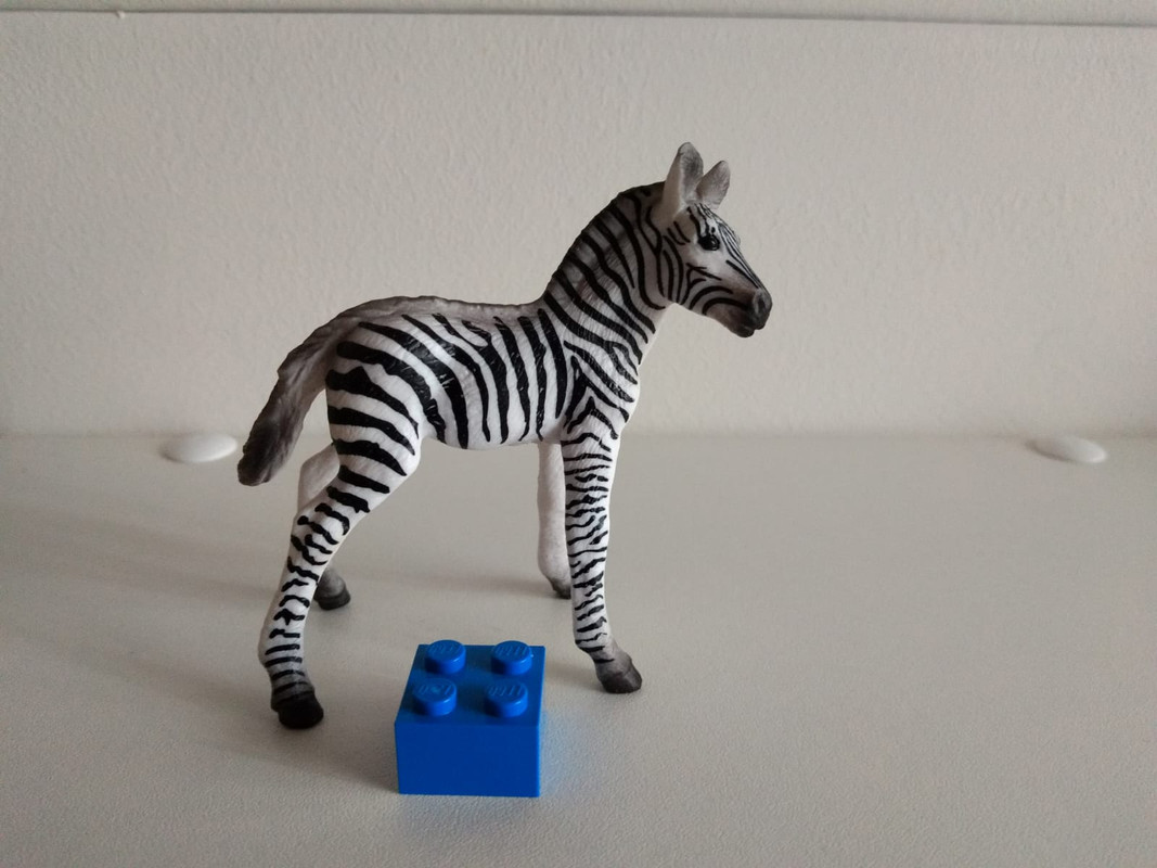 Mojo Fun Zebra Stallion