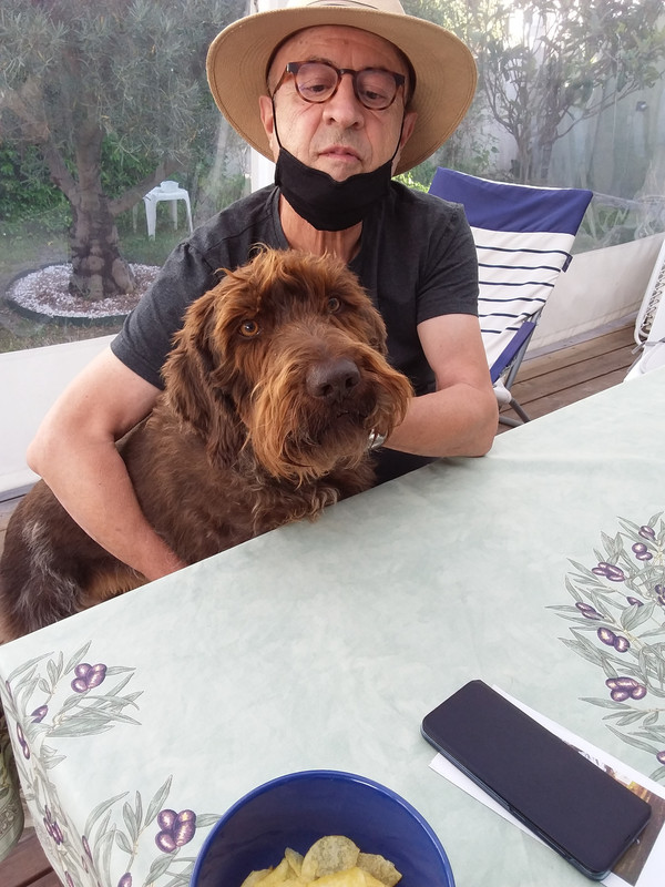 [Image: 20210817-191216.jpg]