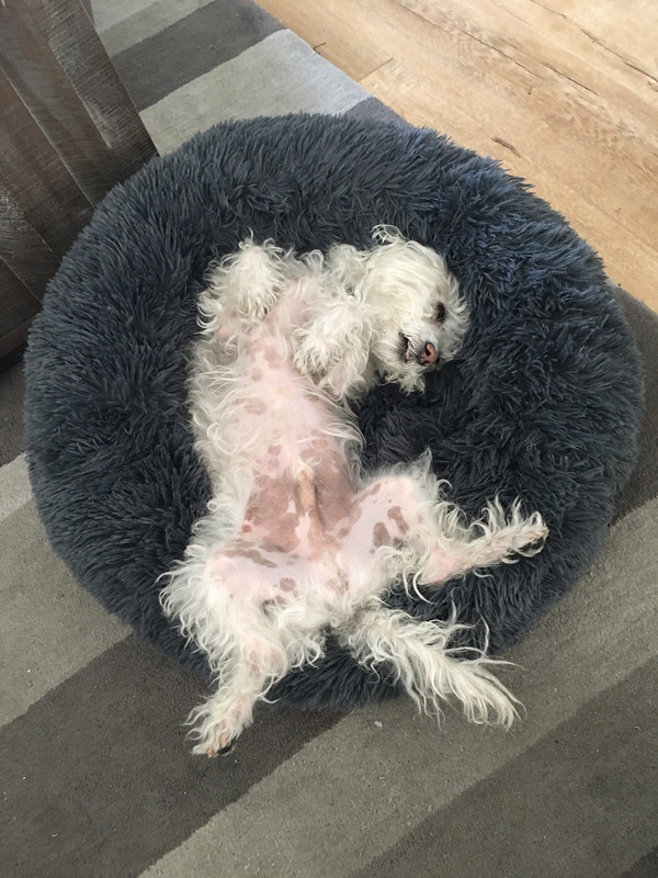 5DB9A7EE-68CE-476E-98B8-D086FD878D2C