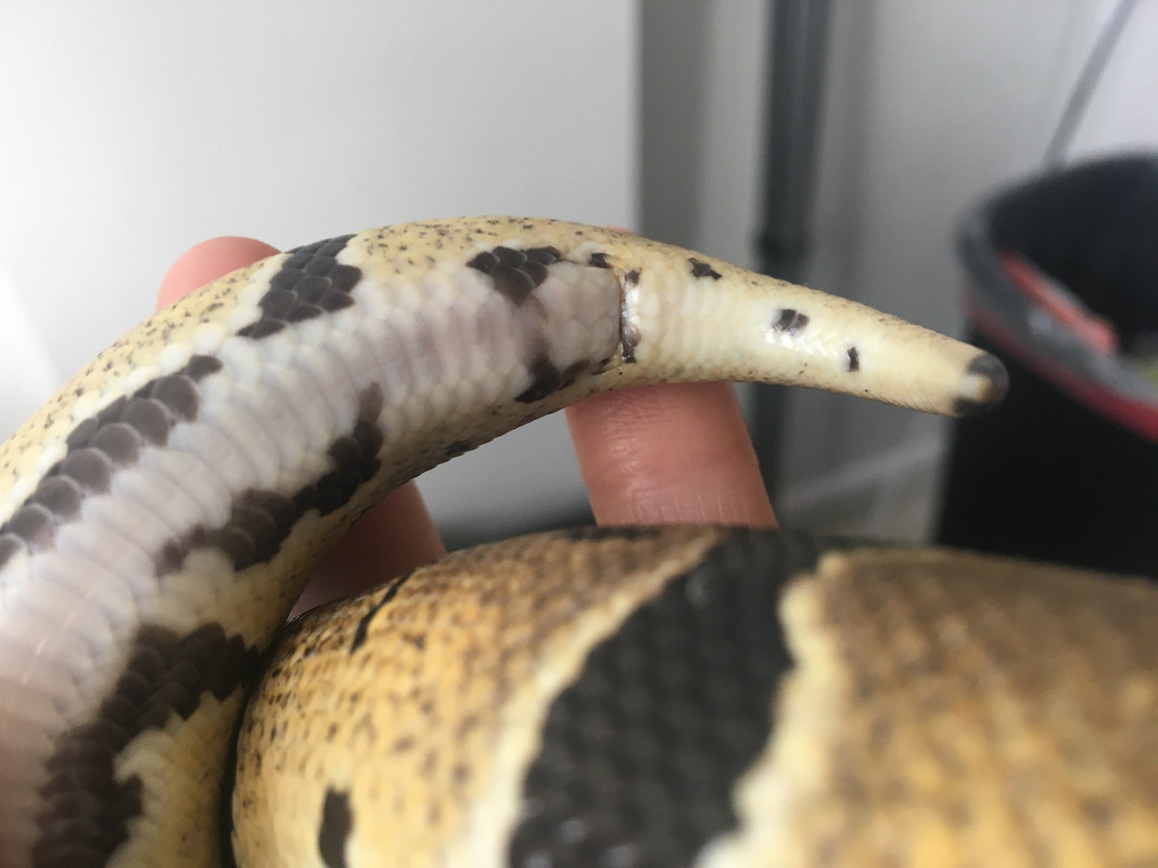 60815887382__0318A2DF-46AD-4330-8735-0139A466C471