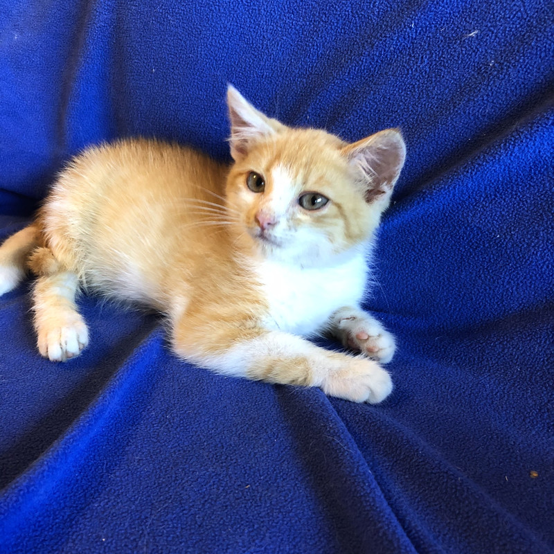 02C23521-7987-4765-990E-6092C8A9A4EA