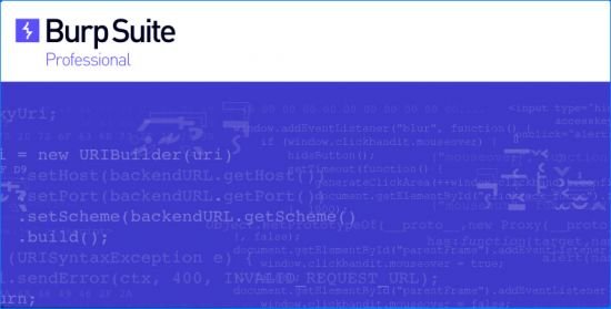 Burp Suite Professional 2021.5.3 Build 8265
