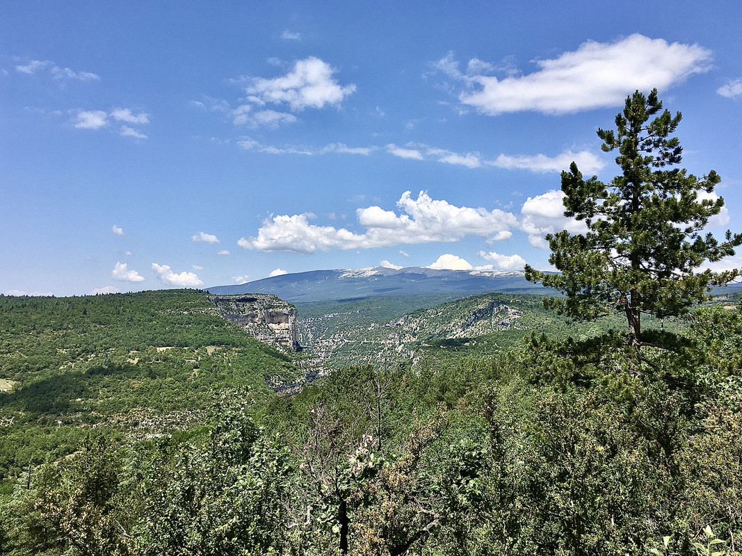 A6D5E49C-8F6E-4F2A-9561-BB9F776A15F6