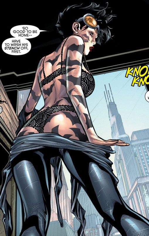 http://www.darkknightnews.com/wp-content/uploads/2012/11/rsz_catwoman-zone-014-650x1024.jpg