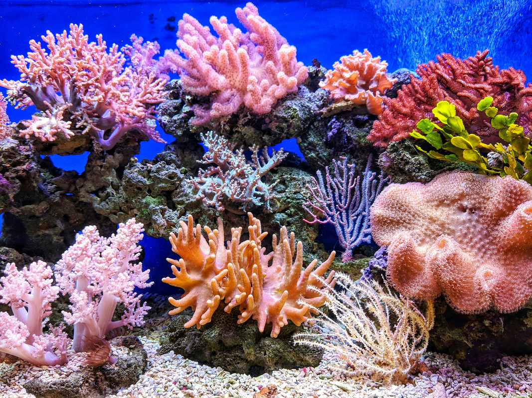  Great
							Barrier Reef Marine Park