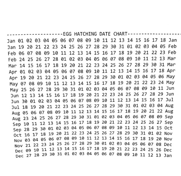 d91d3990-e7f3-48b1-b9f9-d9579aeedde9