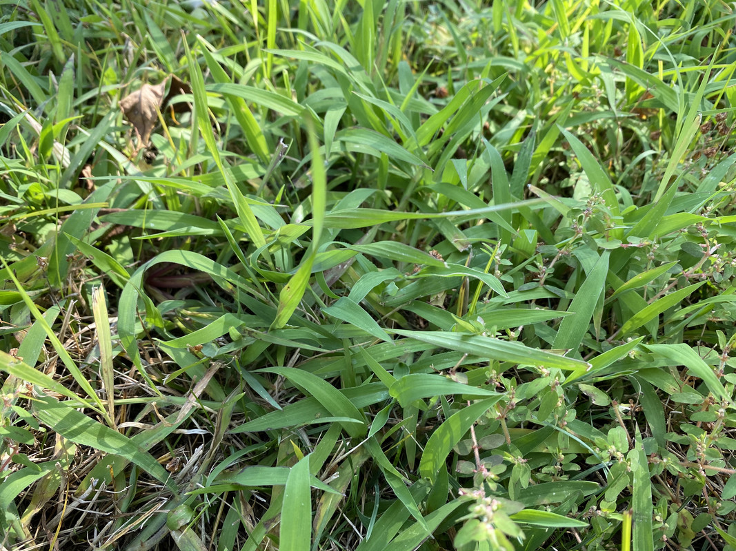 649EC5BF-99DE-49D7-AB25-1417FE121038