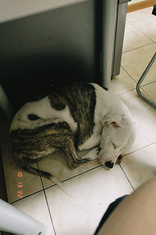 F0BAD9B3-F467-4A04-A0E7-B2CEC1EAE955