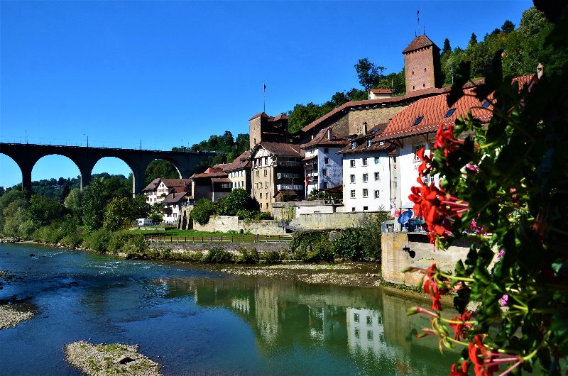 FRIBURGO-4-9-2019 - Suiza y sus pueblos-2019 (61)
