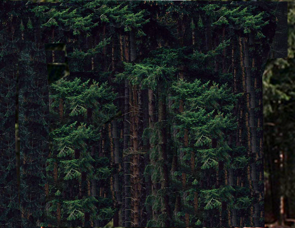 Hagrid hut Background II