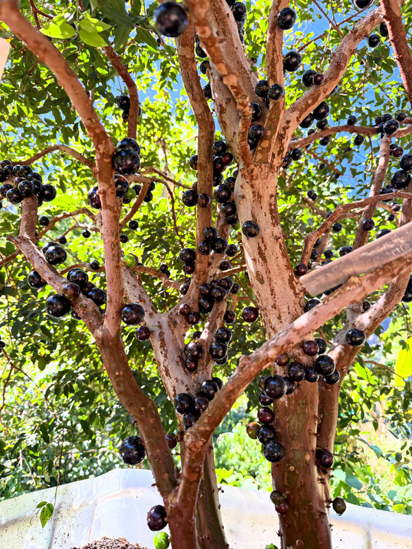 321C7194-1FB1-4295-85E4-2E9BCA7CF196