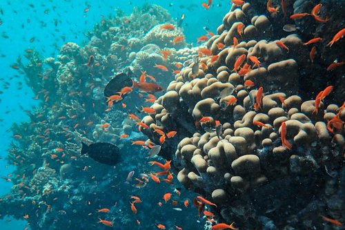  Destinasi terancam punah