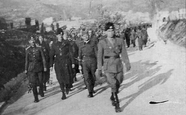 [Слика: image.jpg]