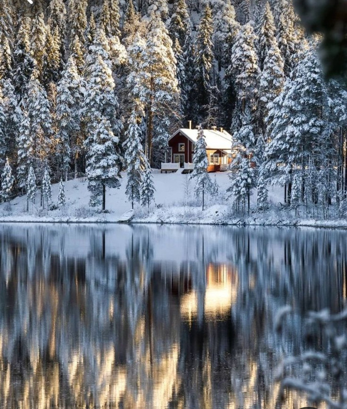 Screenshot_20230831_231722_Pinterest