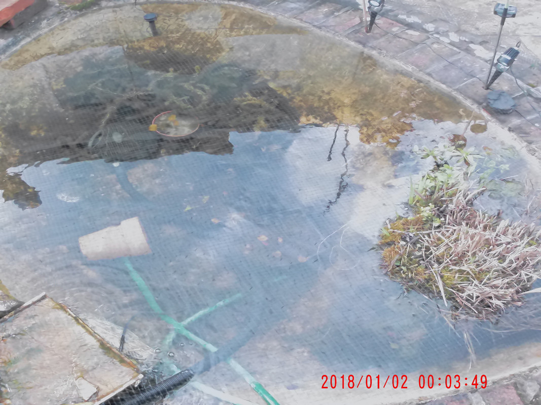 2018_0102_000350_002