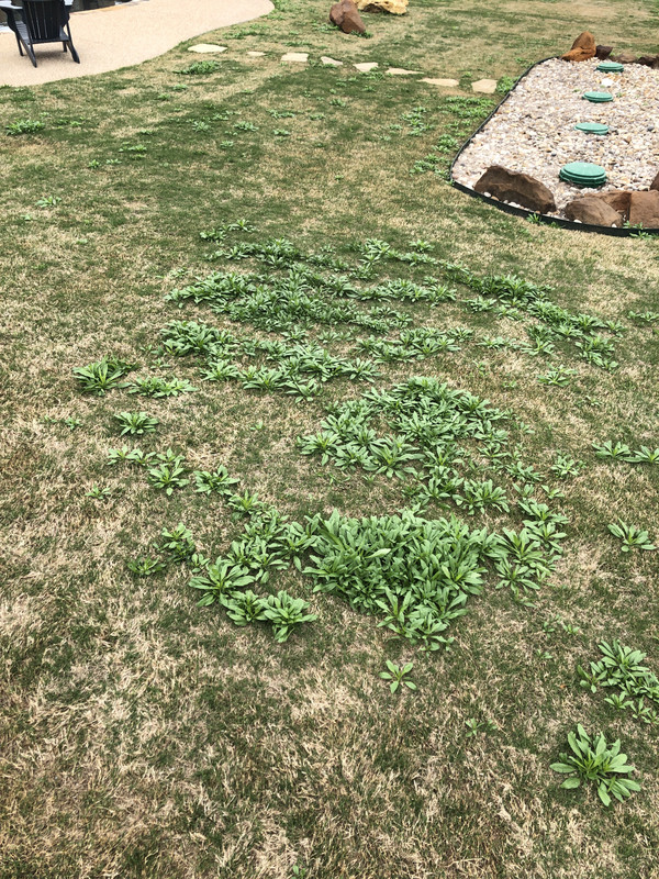 29569CC1-AA03-443C-99F8-EF10F62E7505