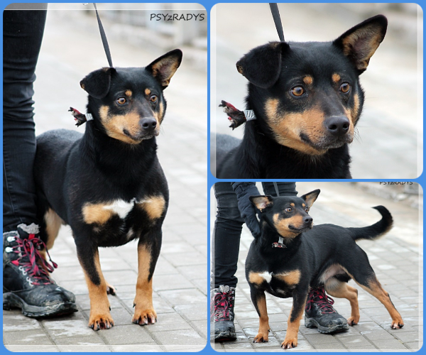 BeFunky-collage (11)