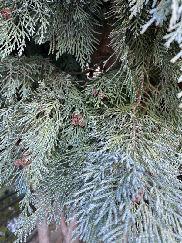 92D315AB-C68F-4FDA-98EE-B54B050D03FC