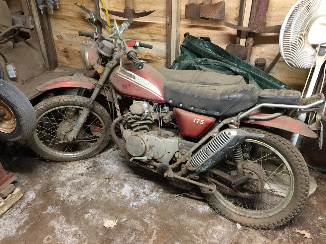 Hondog 175 scrambler