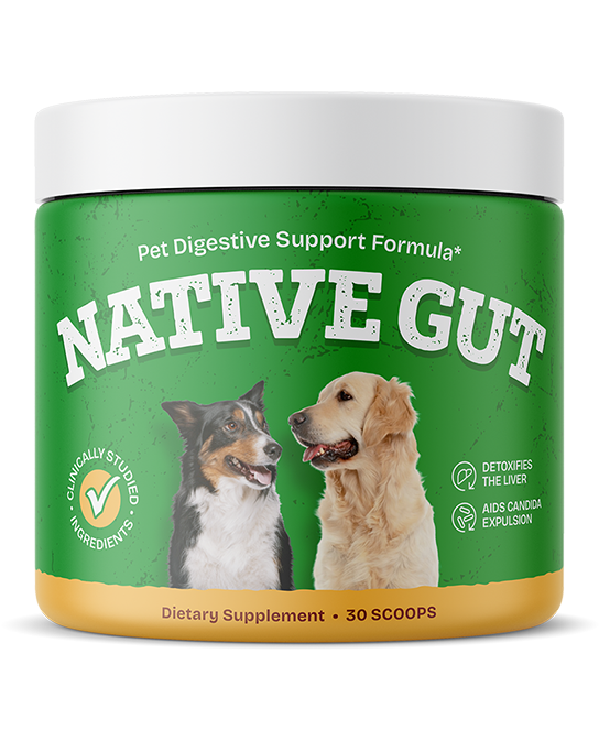 Native Gut Dog Supplement