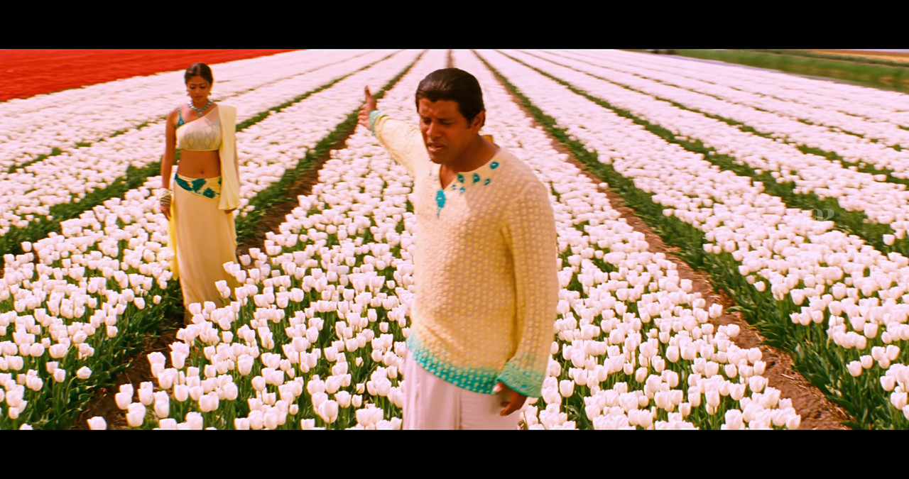 VideoCapture_20241122-195828