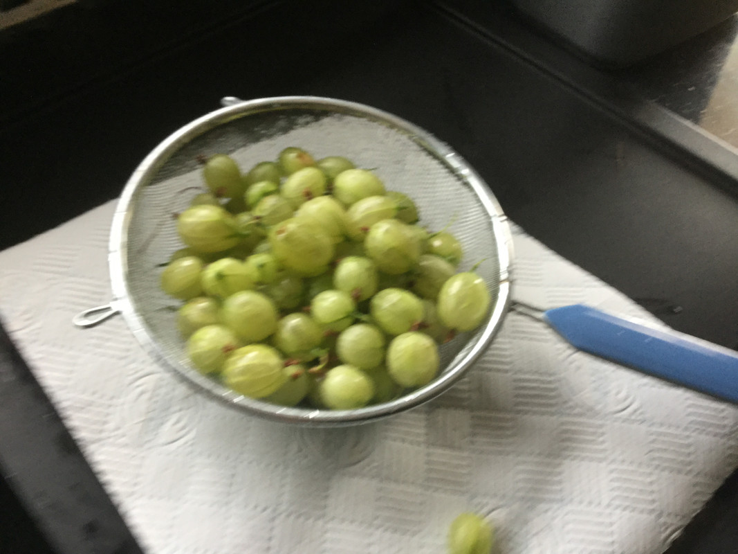 DABE73A9-9A8D-46A7-9646-121565D3B69F