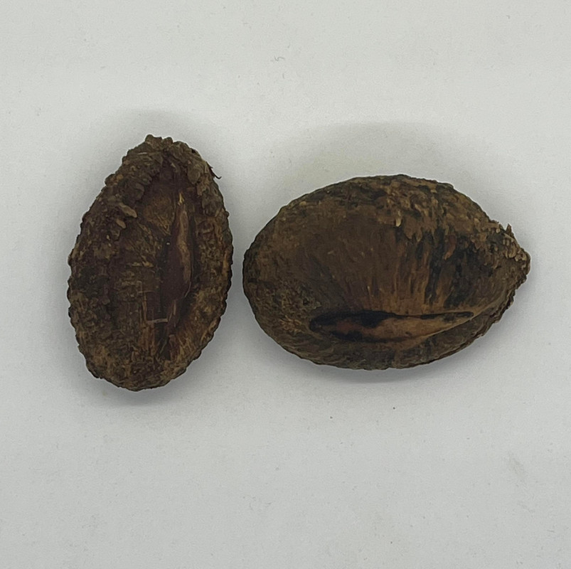 275741630_1396572174100165_4232140450880812517_n